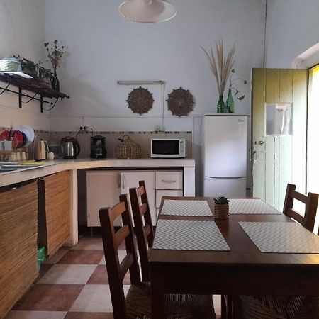 Хостел Casa Calma Колония-дель-Сакраменто Экстерьер фото